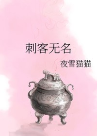 刺客无名技能介绍