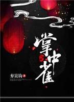掌中之物小说免费阅读完整版
